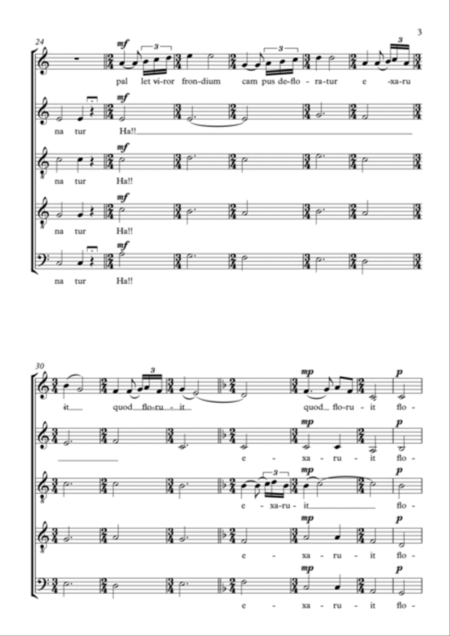Autumni A Cappella scores gallery preview page 3