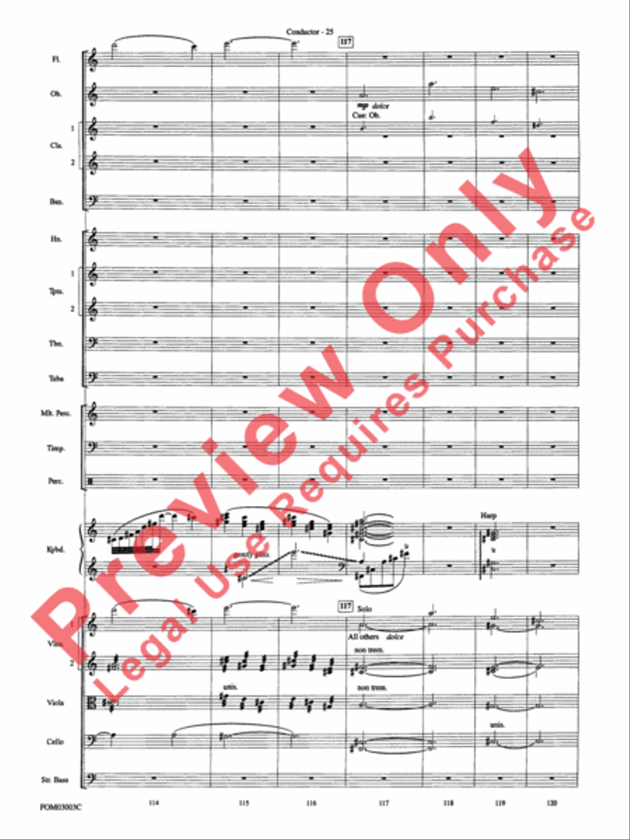Harry Potter and the Chamber of Secrets, Themes from Full Orchestra scores gallery preview page 27