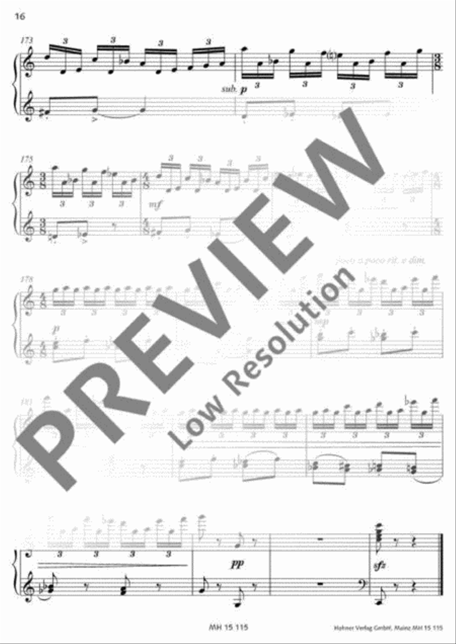 Sommer-Mosaik Sommer-Mosaik Accordion scores gallery preview page 17