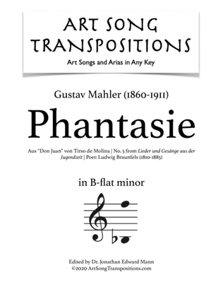 Book cover for MAHLER: Phantasie (transposed to B-flat minor)