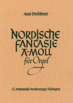 Book cover for Nordische Fantasie
