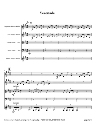 Serenade by Schubert for String Quartet in Schools