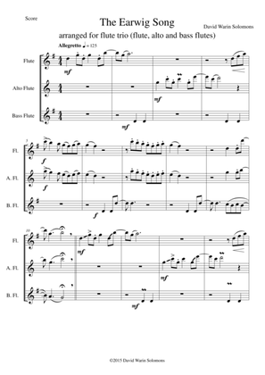 The Earwig song flute trio (SAB)