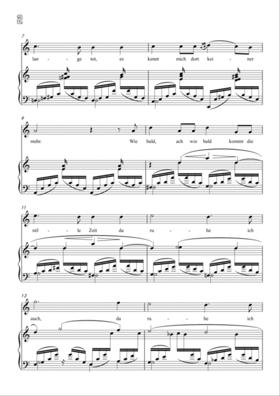 Schumann-In der Fremde in a minor Voice scores gallery preview page 3
