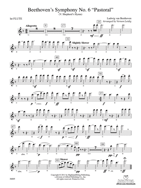 Beethoven's Symphony No. 6 "Pastoral": Flute