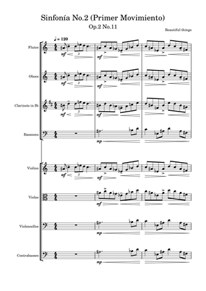 Sinfonía No.2(Primer Movimiento)-Beautiful things Op.2 No.11