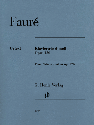 Book cover for Piano Trio in D Minor Op. 120