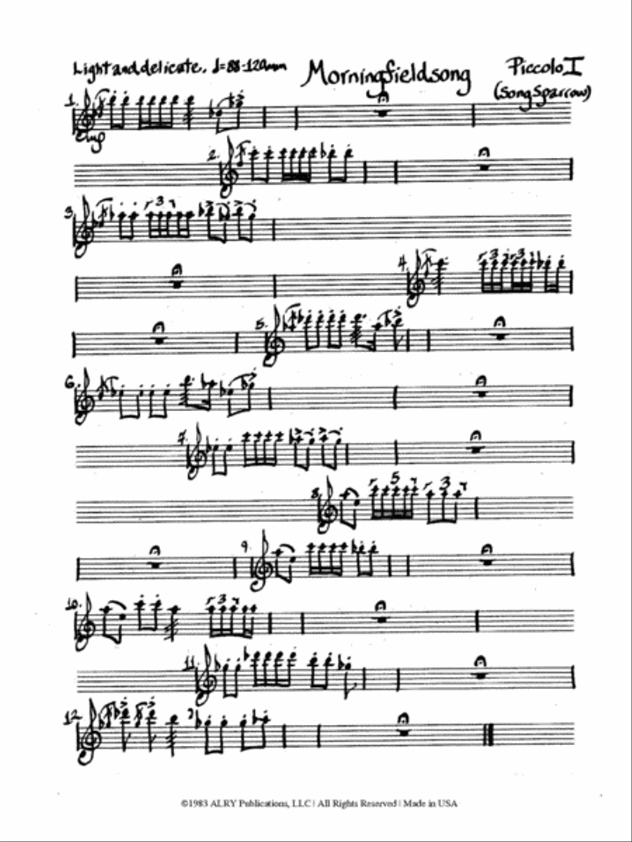 Songbirdsongs for Piccolo(s) and Percussion Piccolo scores gallery preview page 2