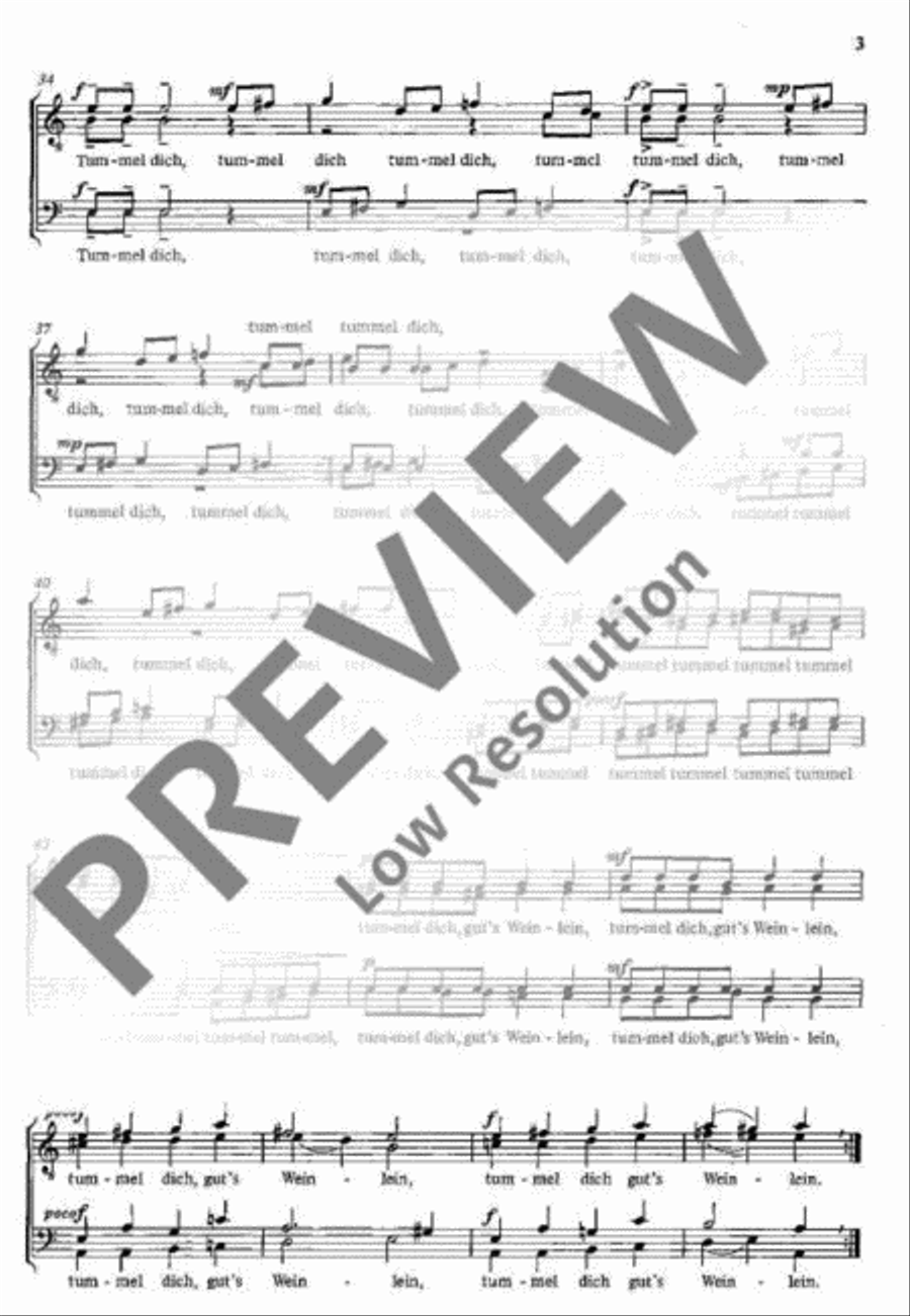 Drei Landsknechtslieder TTBB scores gallery preview page 4