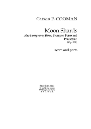 Book cover for Moon Shards