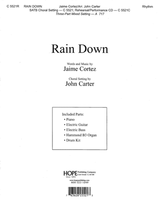 Book cover for Rain Down