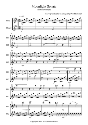 Moonlight Sonata (1st movement) for Flute Duet