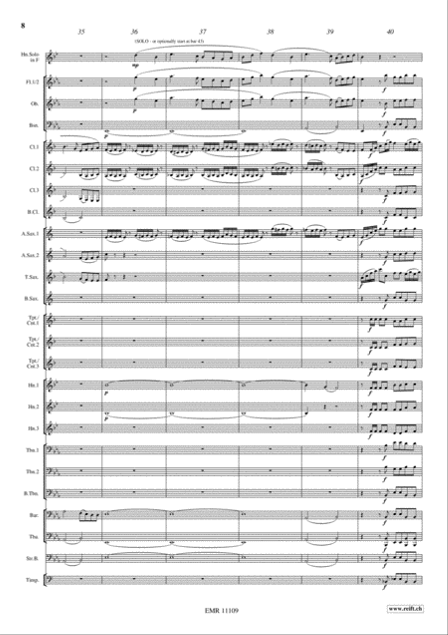 Horn Concerto No. 4 Concert Band scores gallery preview page 9