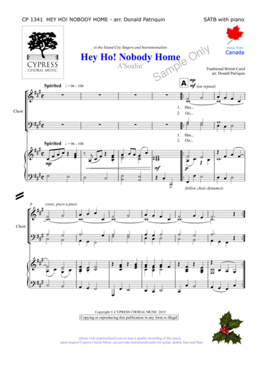Hey Ho Nobody Home image number null