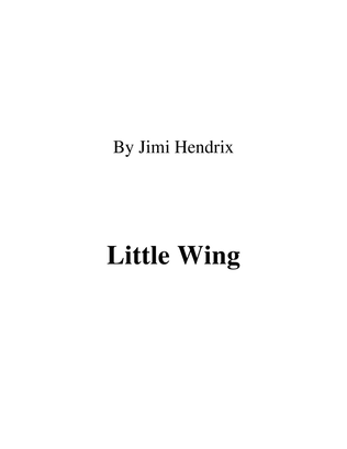 Book cover for Little Wing