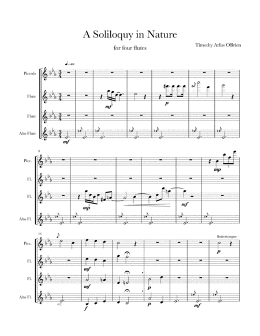 A Soliloquy in Nature Small Ensemble scores gallery preview page 1