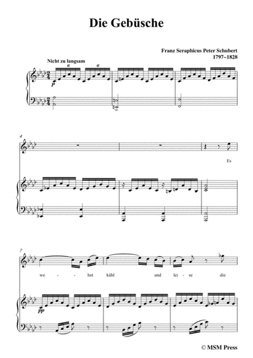 Schubert-Die Gebüsche,in A flat Major,for Voice&Piano image number null