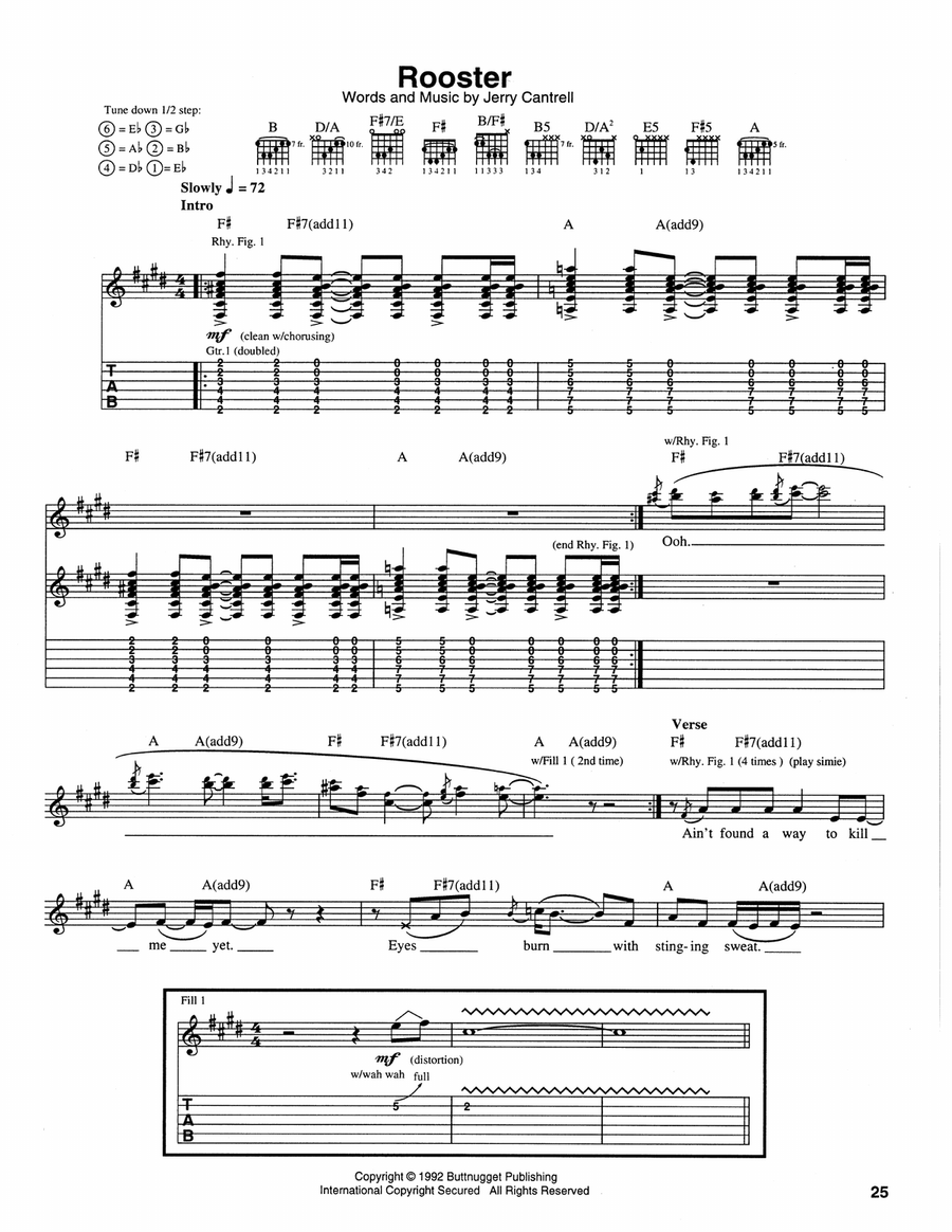 Rooster Acoustic Guitar scores gallery preview page 1