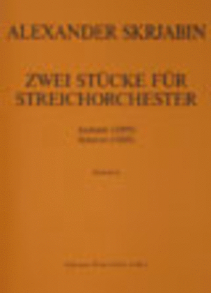 Zwei Stucke fur Streichorchester: Andante (1899) / Scherzo (1888)