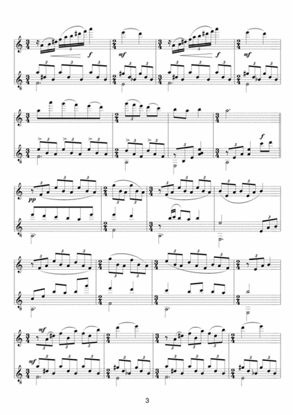 "...neither silver nor gold..." for flute and guitar Flute - Digital Sheet Music