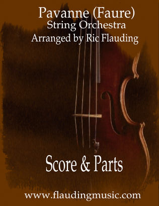 Book cover for Pavanne (String Orchestra)