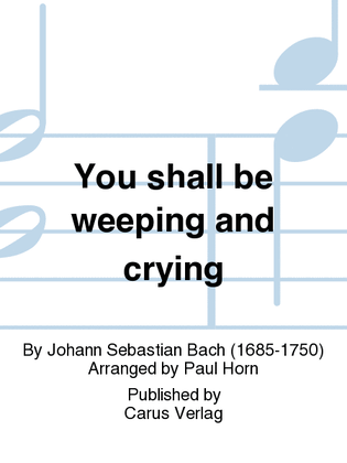 Book cover for You shall be weeping and crying (Ihr werdet weinen und heulen)