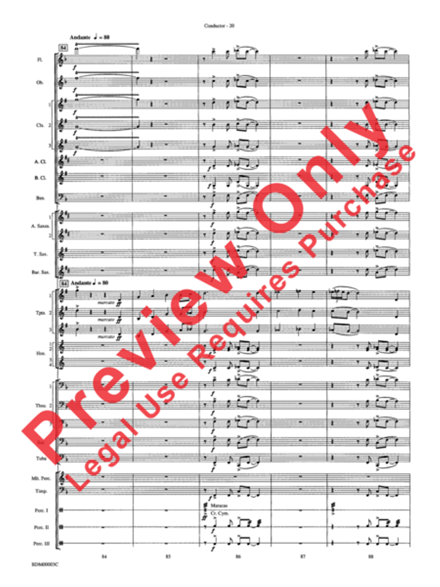 Overture de Argentina Overture de Argentina Concert Band scores gallery preview page 22