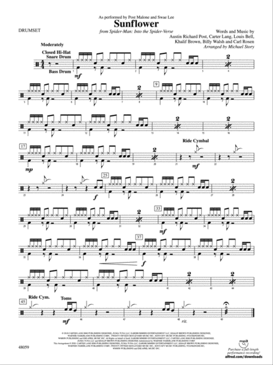 Sunflower: Drums Sunflower: Drums String Orchestra scores gallery preview page 1