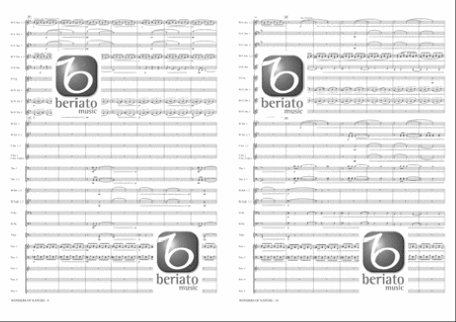 Wonders of Nature Fanfare Band scores gallery preview page 6