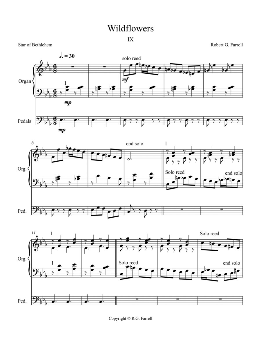 Wildflowers #9 Organ Solo scores gallery preview page 1