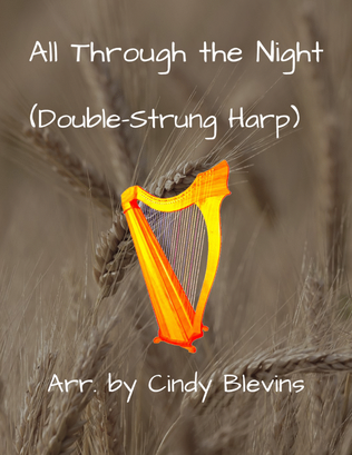 Book cover for All Through the Night, for Double-Strung Harp