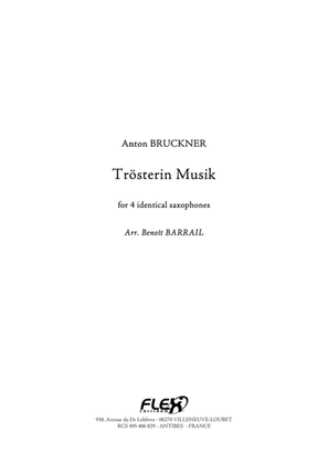 Book cover for Trosterin Musik