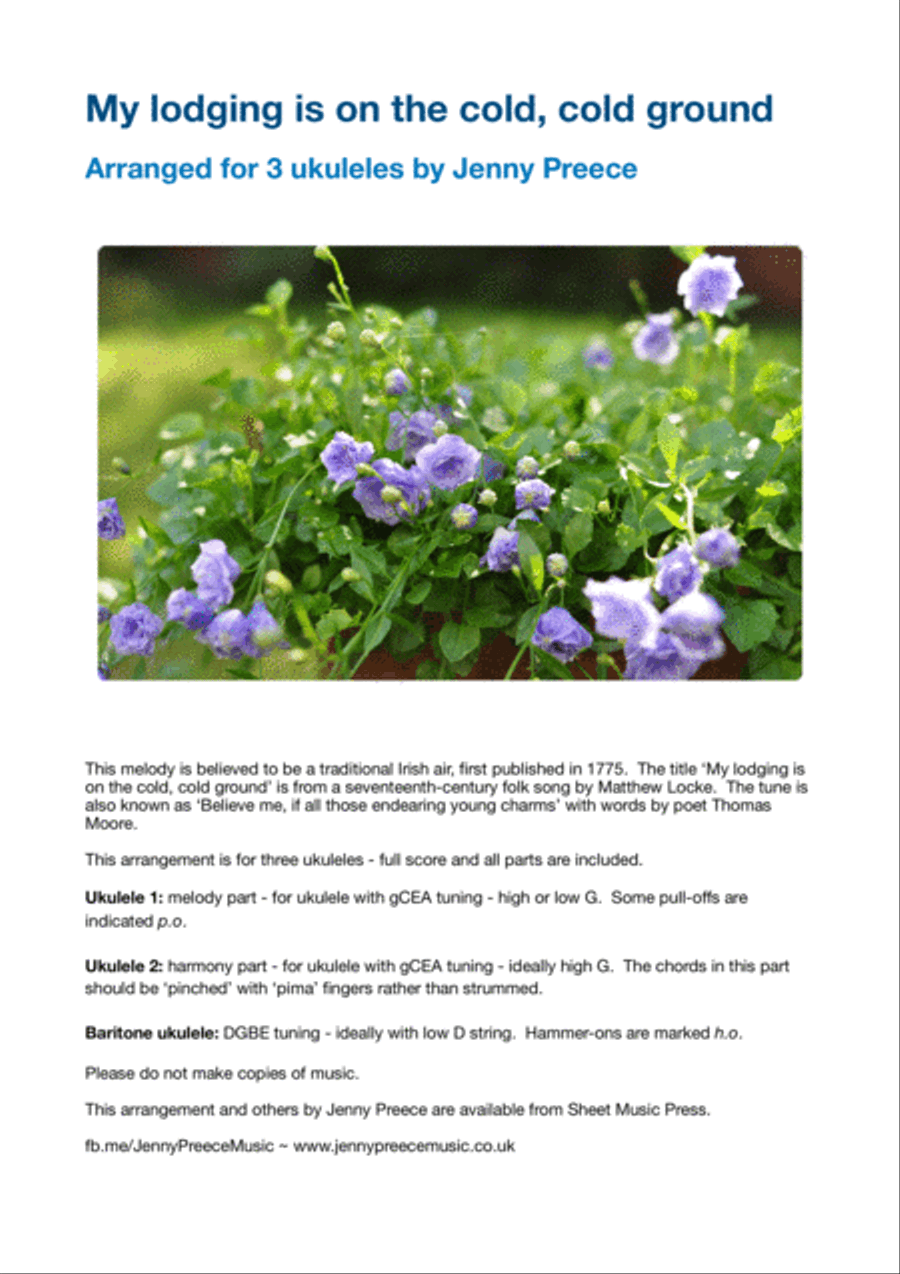My lodging is on the cold, cold ground Ukulele scores gallery preview page 1
