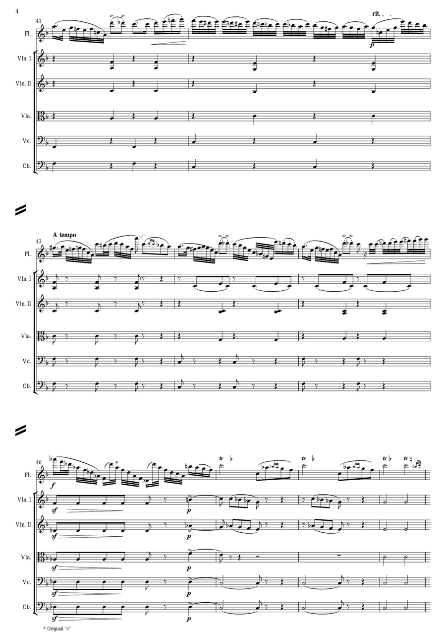 Paul Agricola Genin - Carnaval de Venice ( Full Score and parts ) Chamber Orchestra scores gallery preview page 4