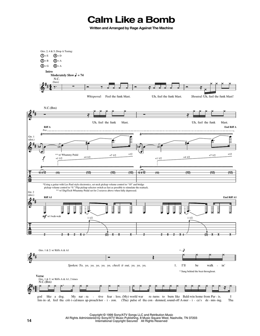Calm Like A Bomb Acoustic Guitar scores gallery preview page 1
