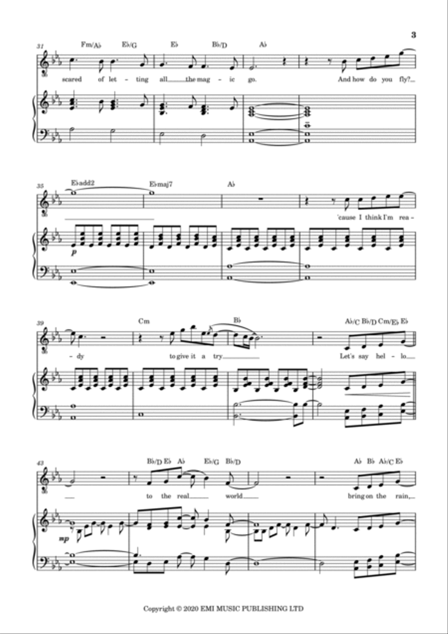 How Do You Fly? Piano, Vocal, Guitar scores gallery preview page 3