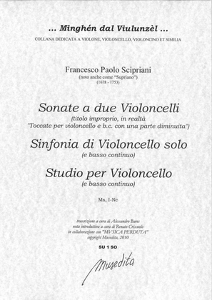 Book cover for 11 Toccate, Sonata e Studio (Ms, I-Nc)