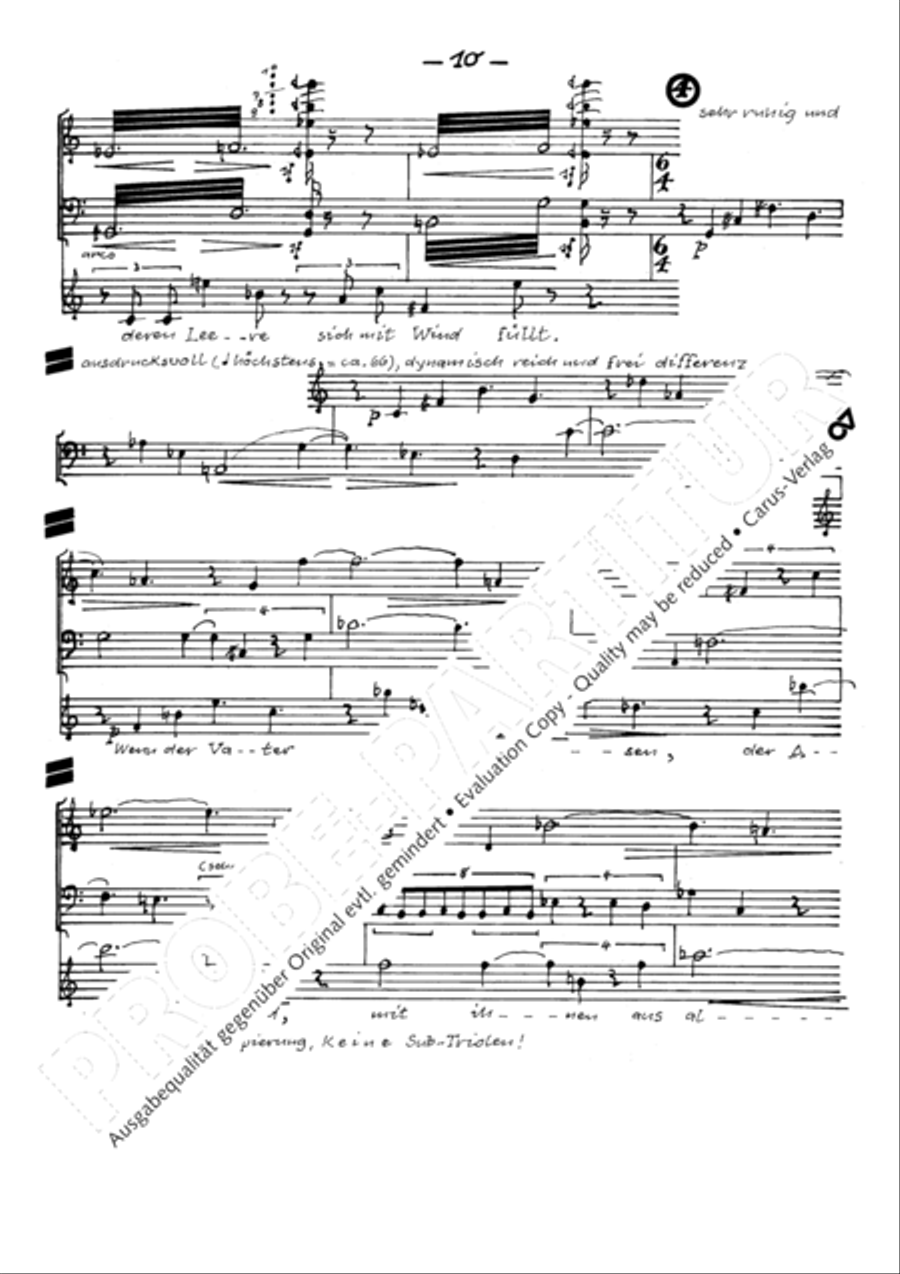 Todesblumen Flute scores gallery preview page 13