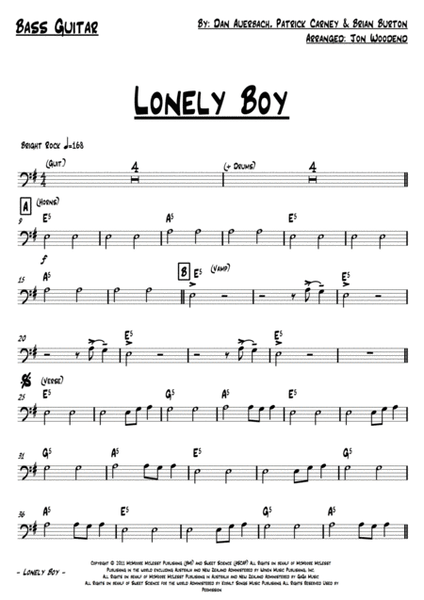 Lonely Boy image number null
