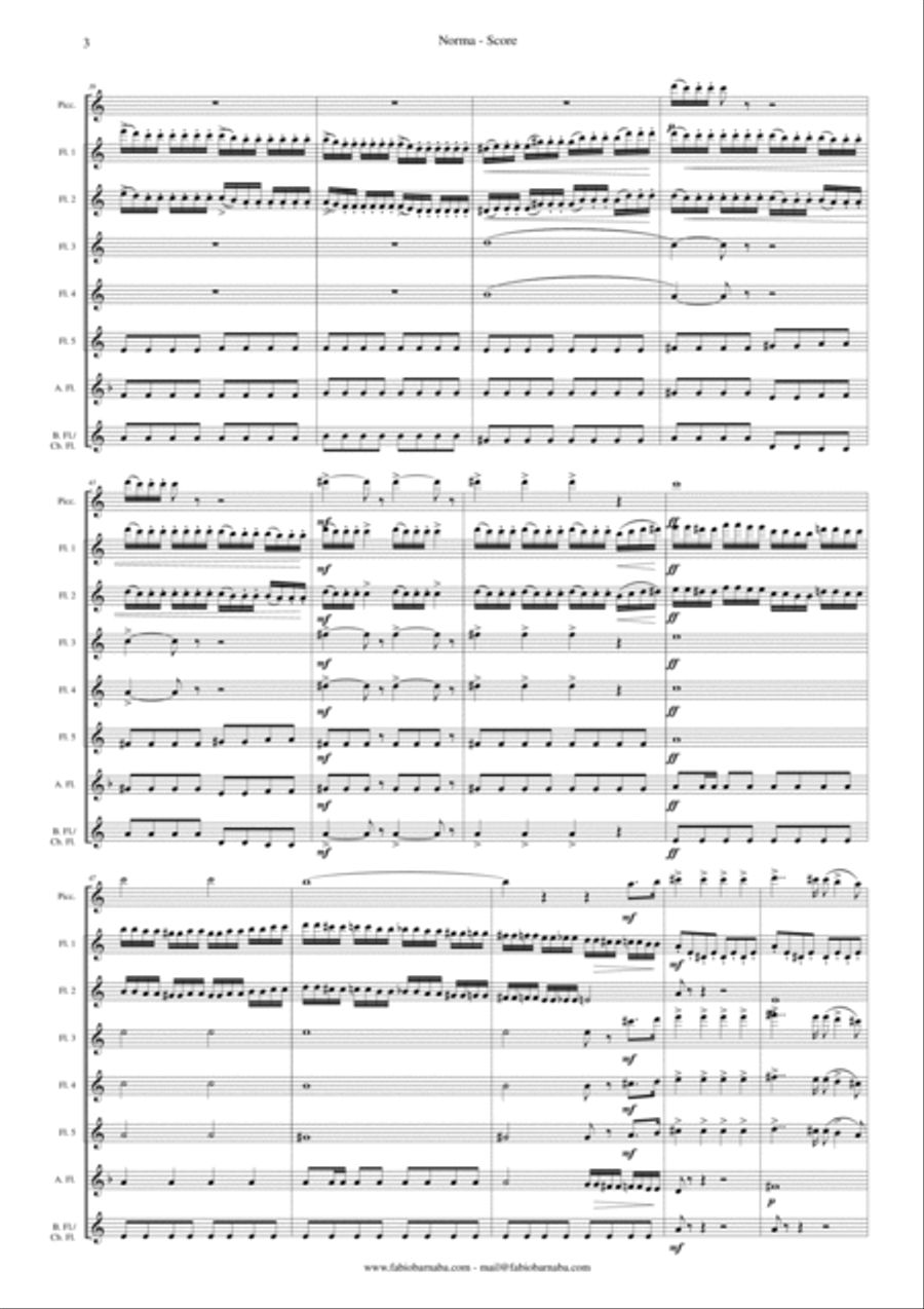 Norma by Vincenzo Bellini - Overture for Flute Choir Flute Choir scores gallery preview page 4