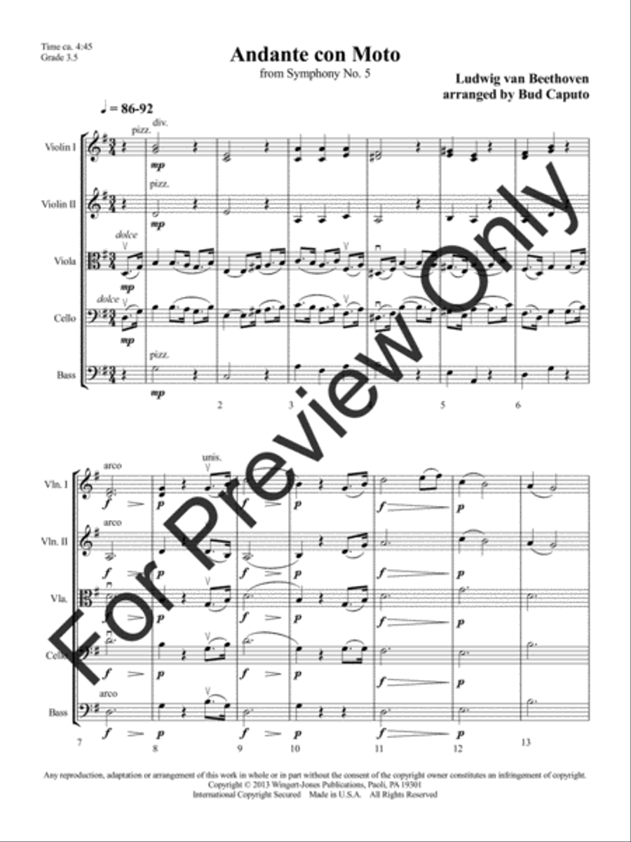 Andante con Moto String Orchestra scores gallery preview page 4