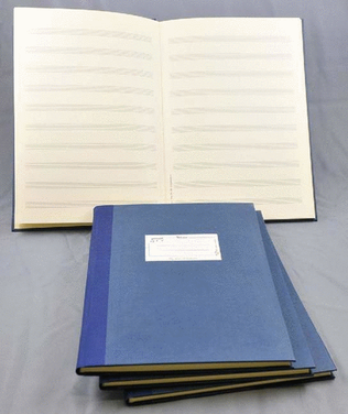 Music manuscript paper 12 staves