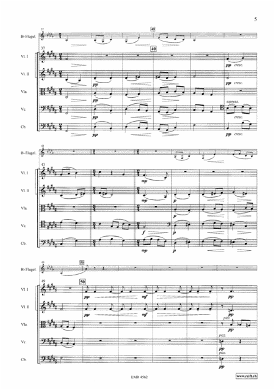 Andante Cantabile String Orchestra scores gallery preview page 5