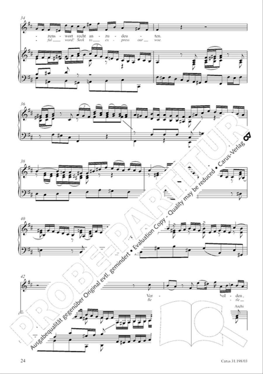 Let, Princess, let but one more ray (Lass, Furstin, lass noch einen Strahl) 4-Part scores gallery preview page 25