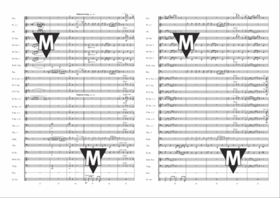 Always Look on The Bright Side of Life Concert Band scores gallery preview page 3