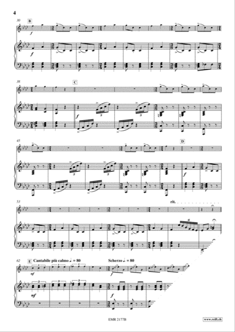Danza Furiosa Piano Accompaniment scores gallery preview page 6