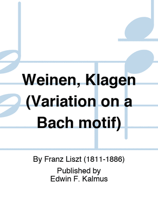 Book cover for Weinen, Klagen (Variation on a Bach motif)