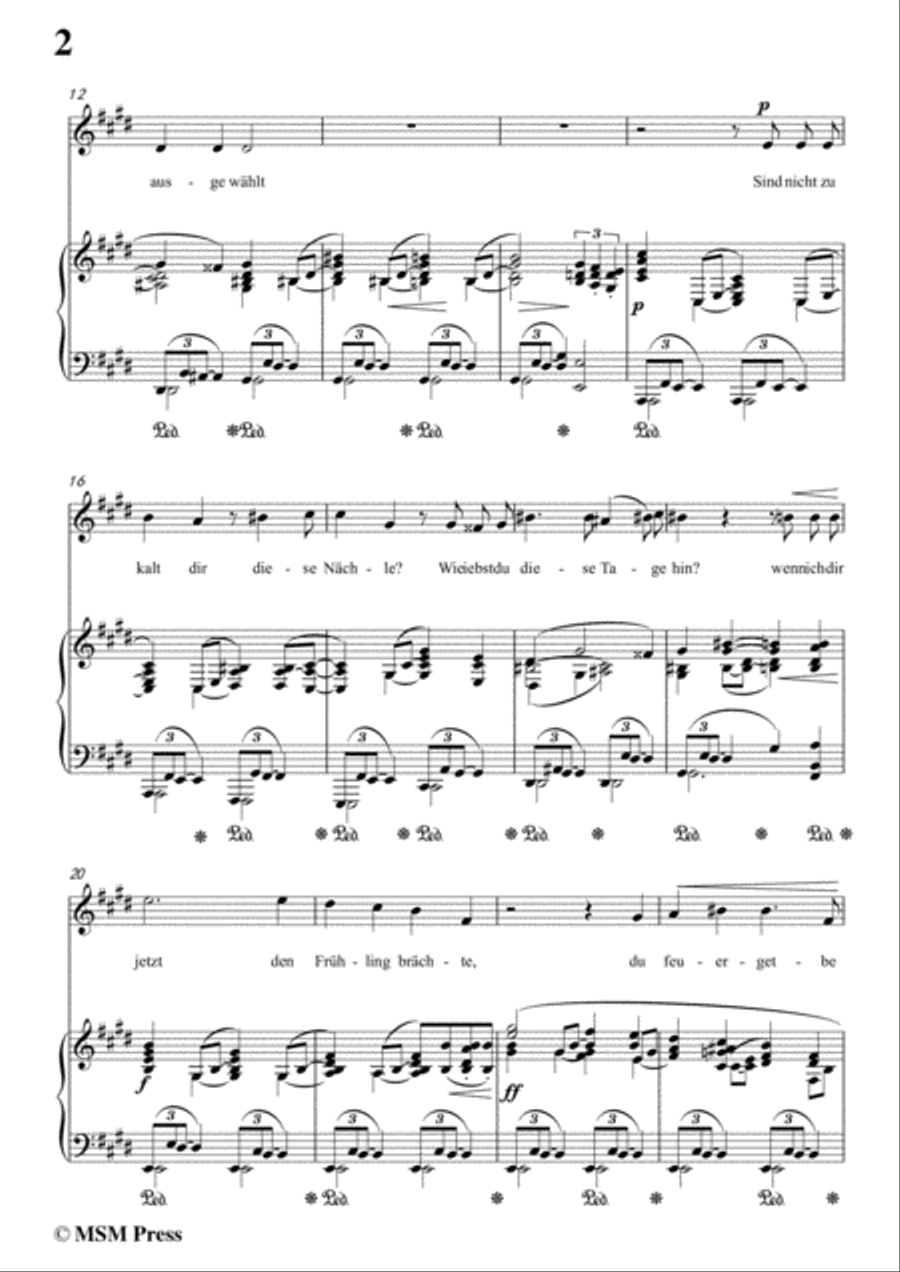 Richard Strauss-Die Georgine in c sharp minor,for Voice and Piano Voice Solo scores gallery preview page 4