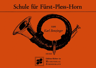 Schule für Fürst-Pless-Horn
