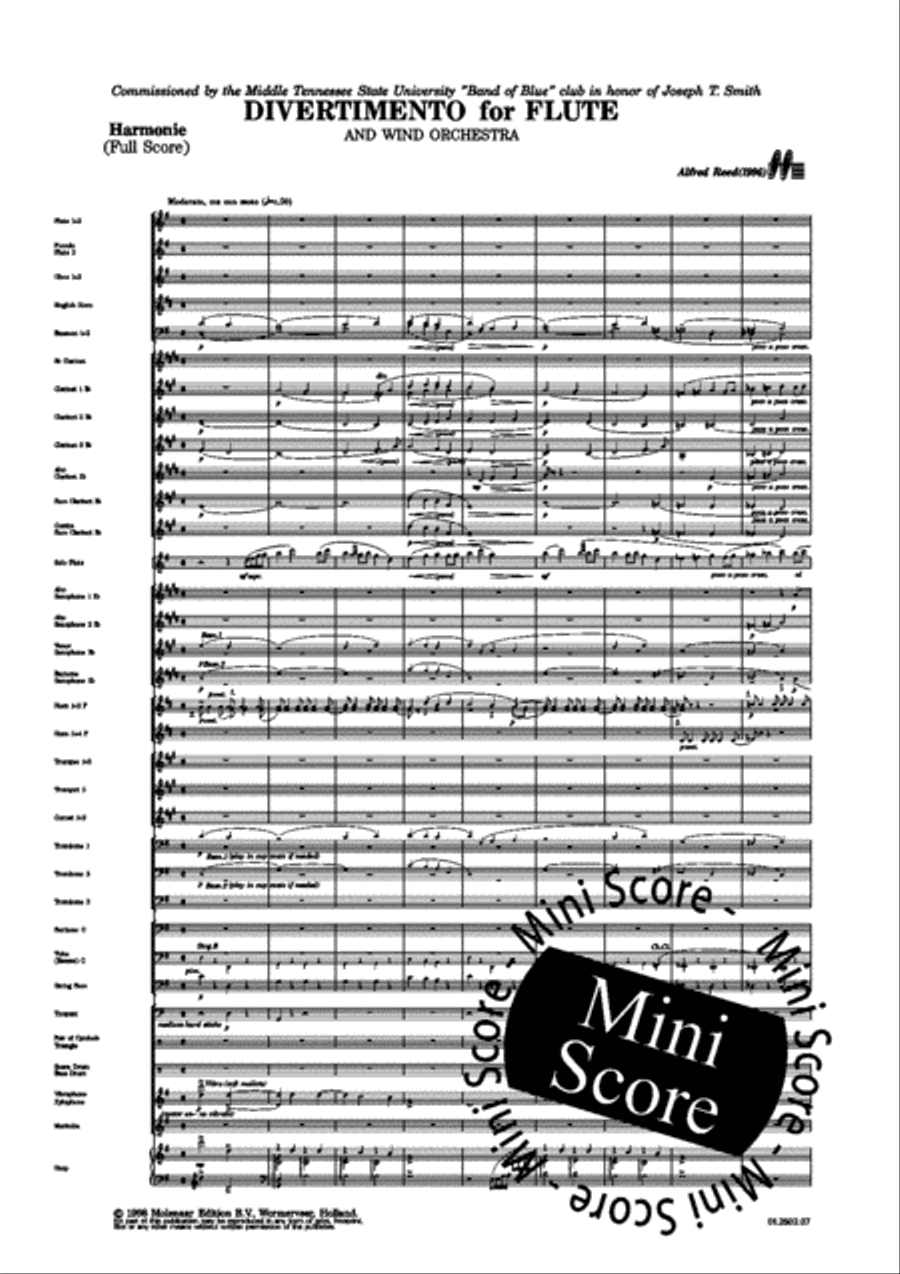 Divertimento for Flute Divertimento for Flute Concert Band scores gallery preview page 5